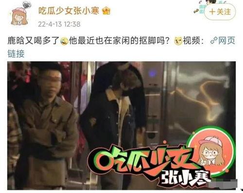 明星事件爆料最新消息视频,最新明星事件爆料视频全解析