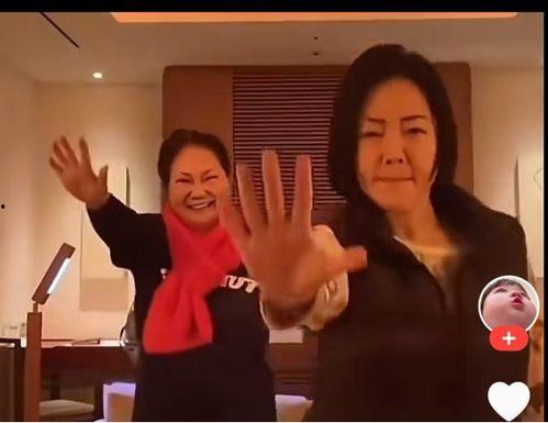 夜间梅视频在线观看,沉浸式体验梅视频在线盛宴