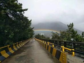 青岛雨后爆料最新消息,最新突发事件追踪  第3张